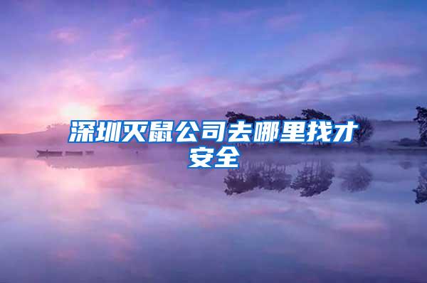 深圳滅鼠公司去哪里找才安全