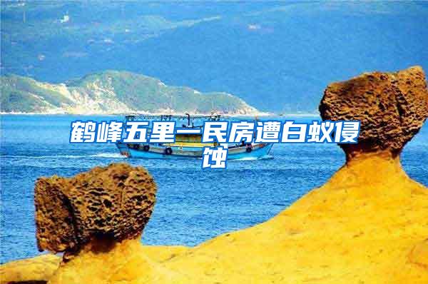 鶴峰五里一民房遭白蟻侵蝕