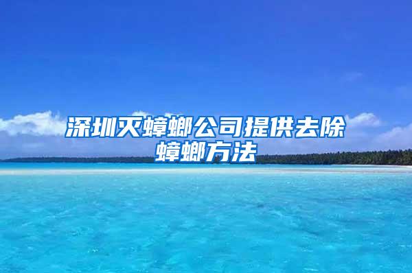 深圳滅蟑螂公司提供去除蟑螂方法