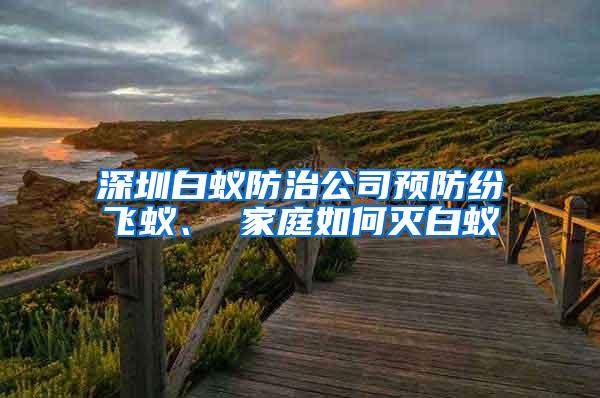 深圳白蟻防治公司預(yù)防紛飛蟻、 家庭如何滅白蟻