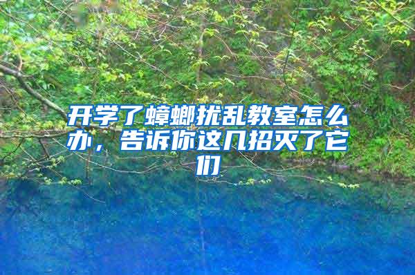 開學(xué)了蟑螂擾亂教室怎么辦，告訴你這幾招滅了它們