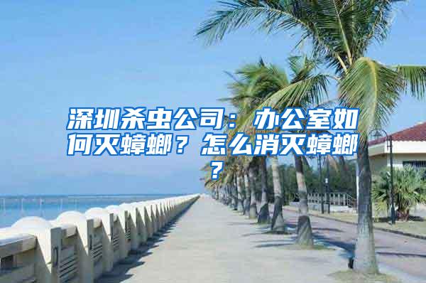 深圳殺蟲公司：辦公室如何滅蟑螂？怎么消滅蟑螂？