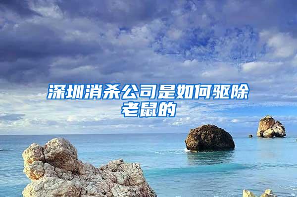 深圳消殺公司是如何驅(qū)除老鼠的