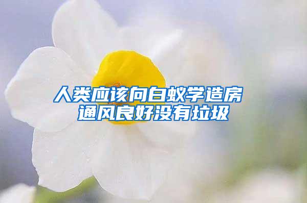 人類應(yīng)該向白蟻學(xué)造房 通風(fēng)良好沒(méi)有垃圾