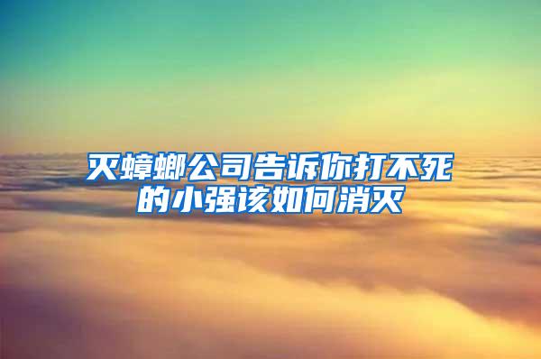 滅蟑螂公司告訴你打不死的小強(qiáng)該如何消滅