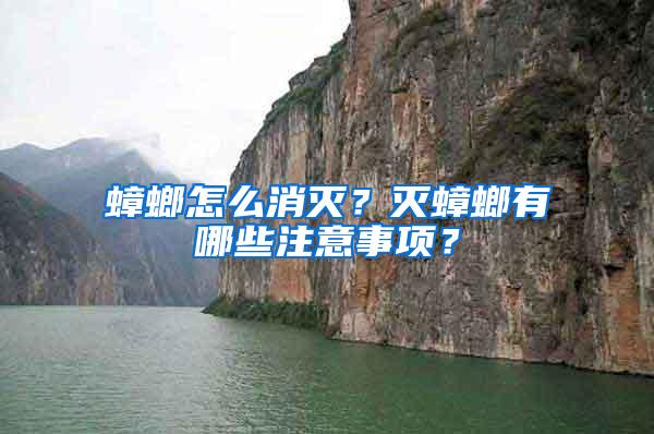 蟑螂怎么消滅？滅蟑螂有哪些注意事項(xiàng)？