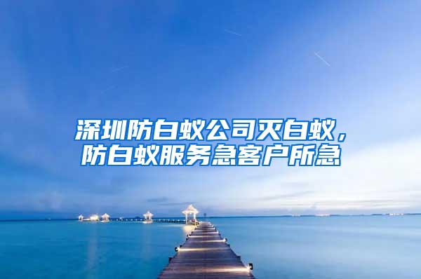 深圳防白蟻公司滅白蟻，防白蟻服務(wù)急客戶(hù)所急