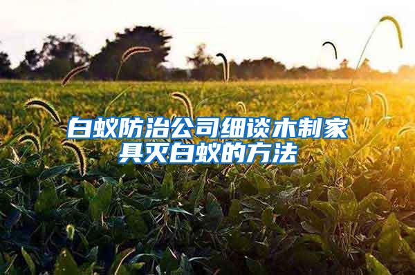 白蟻防治公司細(xì)談木制家具滅白蟻的方法