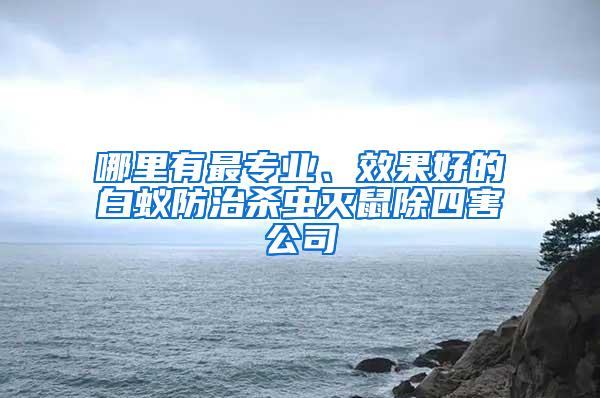 哪里有最專業(yè)、效果好的白蟻防治殺蟲滅鼠除四害公司