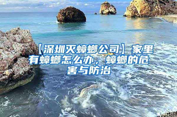 【深圳滅蟑螂公司】家里有蟑螂怎么辦，蟑螂的危害與防治