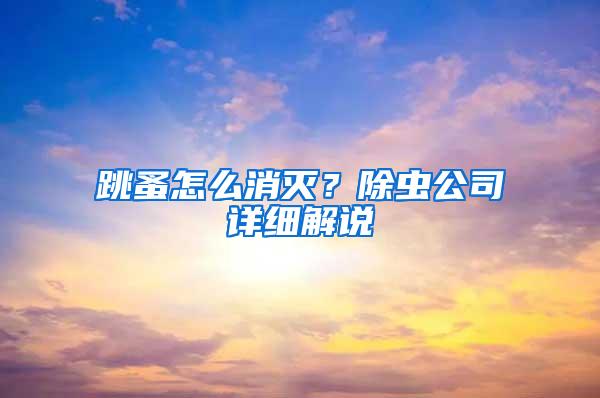 跳蚤怎么消滅？除蟲公司詳細(xì)解說