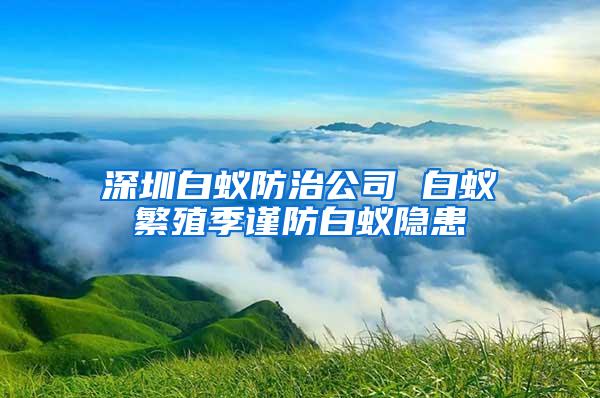 深圳白蟻防治公司 白蟻繁殖季謹(jǐn)防白蟻隱患