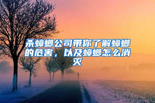 殺蟑螂公司帶你了解蟑螂的危害，以及蟑螂怎么消滅