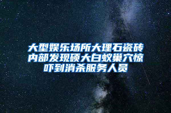 大型娛樂場所大理石瓷磚內部發(fā)現(xiàn)碩大白蟻巢穴驚嚇到消殺服務人員