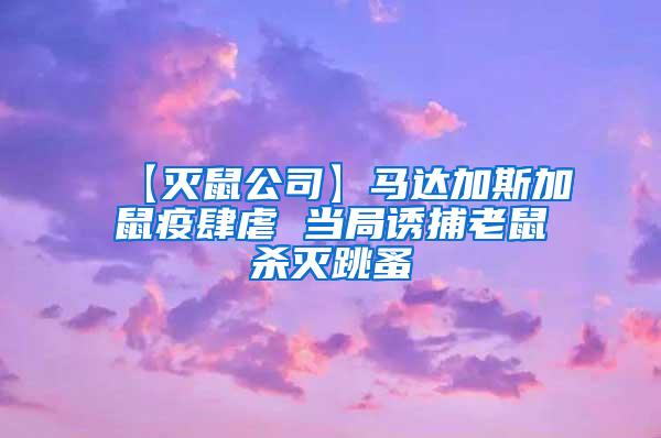 【滅鼠公司】馬達加斯加鼠疫肆虐 當局誘捕老鼠殺滅跳蚤