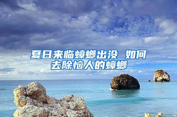 夏日來臨蟑螂出沒 如何去除惱人的蟑螂