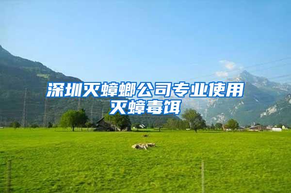 深圳滅蟑螂公司專業(yè)使用滅蟑毒餌