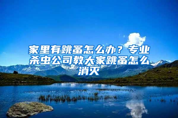 家里有跳蚤怎么辦？專業(yè)殺蟲公司教大家跳蚤怎么消滅