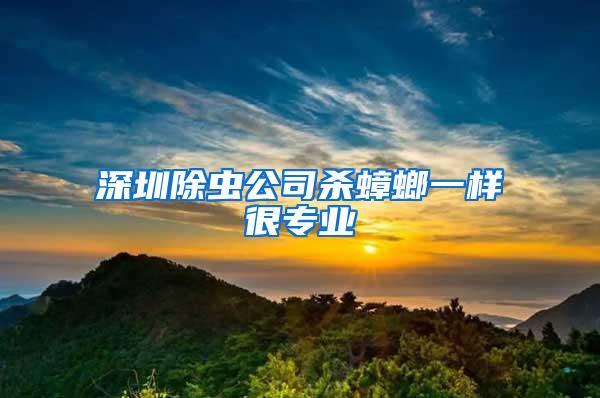 深圳除蟲公司殺蟑螂一樣很專業(yè)