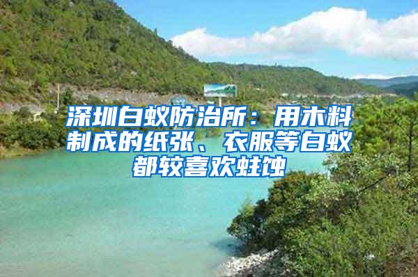 深圳白蟻防治所：用木料制成的紙張、衣服等白蟻都較喜歡蛀蝕