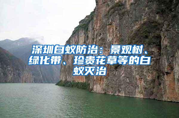 深圳白蟻防治：景觀樹、綠化帶、珍貴花草等的白蟻滅治