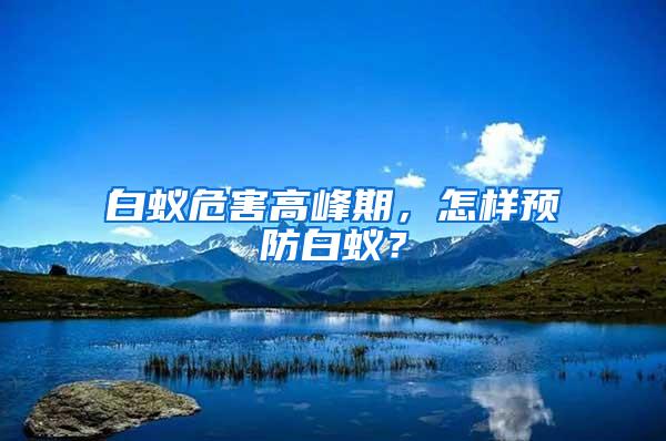 白蟻危害高峰期，怎樣預(yù)防白蟻？