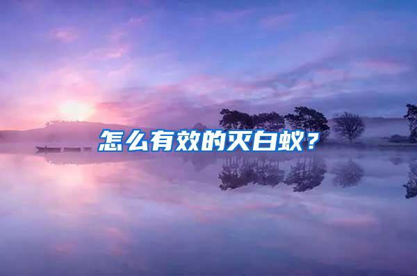 怎么有效的滅白蟻？