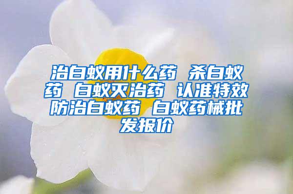 治白蟻用什么藥 殺白蟻藥 白蟻滅治藥 認(rèn)準(zhǔn)特效防治白蟻藥 白蟻藥械批發(fā)報(bào)價(jià)