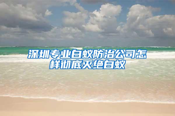 深圳專業(yè)白蟻防治公司怎樣徹底滅絕白蟻