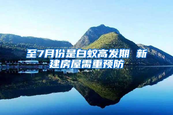 至7月份是白蟻高發(fā)期 新建房屋需重預防