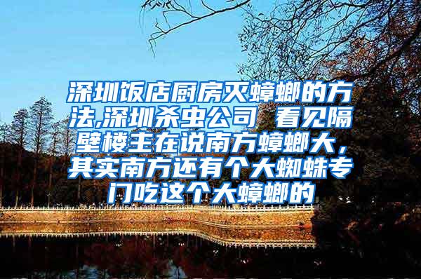 深圳飯店廚房滅蟑螂的方法,深圳殺蟲公司 看見隔壁樓主在說南方蟑螂大，其實(shí)南方還有個(gè)大蜘蛛專門吃這個(gè)大蟑螂的