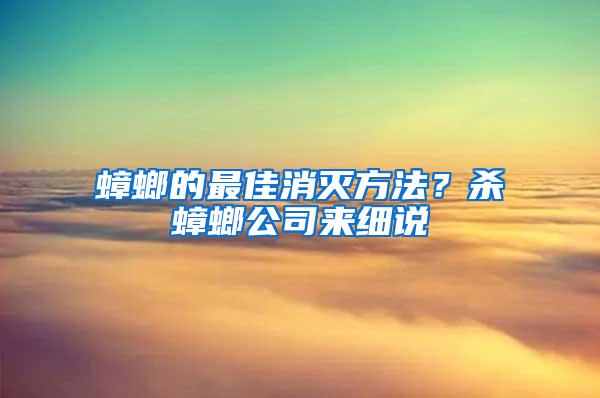 蟑螂的最佳消滅方法？殺蟑螂公司來細(xì)說