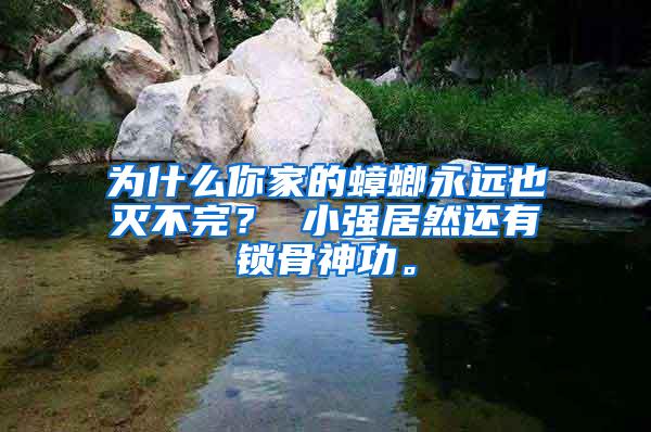 為什么你家的蟑螂永遠(yuǎn)也滅不完？ 小強(qiáng)居然還有鎖骨神功。