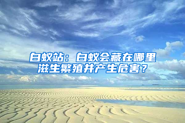 白蟻站：白蟻會(huì)藏在哪里滋生繁殖并產(chǎn)生危害？