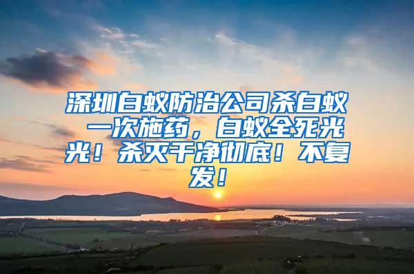 深圳白蟻防治公司殺白蟻 一次施藥，白蟻全死光光！殺滅干凈徹底！不復(fù)發(fā)！