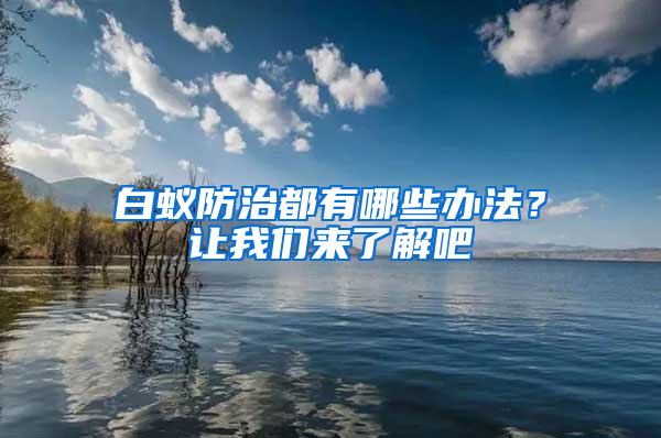 白蟻防治都有哪些辦法？讓我們來了解吧