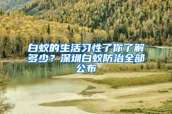 白蟻的生活習性了你了解多少？深圳白蟻防治全部公布