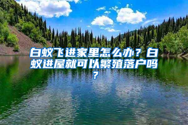 白蟻飛進(jìn)家里怎么辦？白蟻進(jìn)屋就可以繁殖落戶嗎？