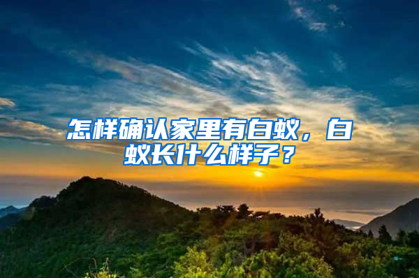 怎樣確認(rèn)家里有白蟻，白蟻長(zhǎng)什么樣子？