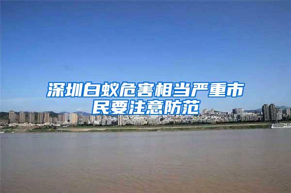 深圳白蟻危害相當(dāng)嚴(yán)重市民要注意防范