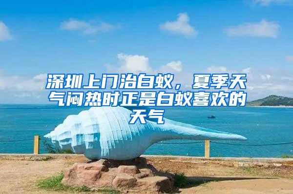 深圳上門(mén)治白蟻，夏季天氣悶熱時(shí)正是白蟻喜歡的天氣