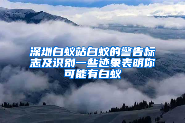 深圳白蟻站白蟻的警告標(biāo)志及識別一些跡象表明你可能有白蟻