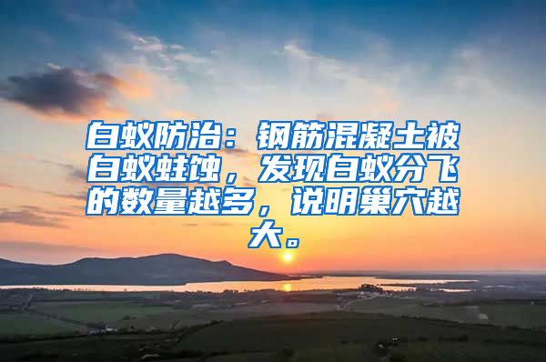 白蟻防治：鋼筋混凝土被白蟻蛀蝕，發(fā)現(xiàn)白蟻分飛的數(shù)量越多，說明巢穴越大。