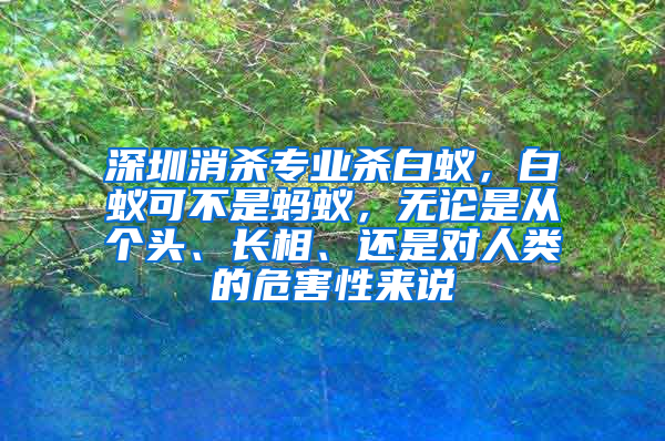 深圳消殺專業(yè)殺白蟻，白蟻可不是螞蟻，無論是從個(gè)頭、長(zhǎng)相、還是對(duì)人類的危害性來說