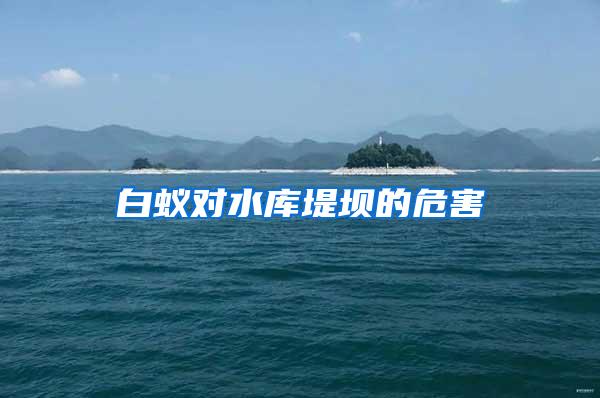 白蟻對(duì)水庫(kù)堤壩的危害