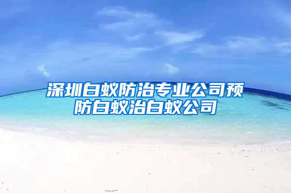 深圳白蟻防治專業(yè)公司預防白蟻治白蟻公司