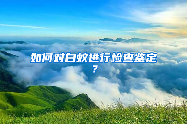 如何對白蟻進(jìn)行檢查鑒定？