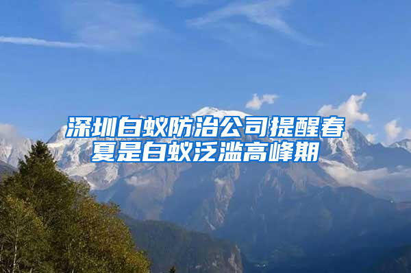 深圳白蟻防治公司提醒春夏是白蟻泛濫高峰期