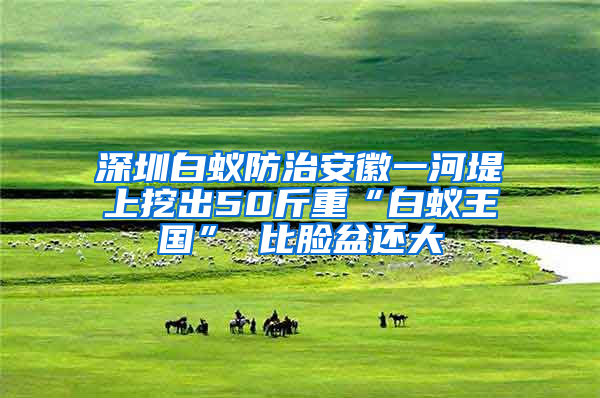 深圳白蟻防治安徽一河堤上挖出50斤重“白蟻王國” 比臉盆還大