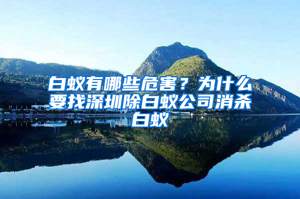 白蟻有哪些危害？為什么要找深圳除白蟻公司消殺白蟻